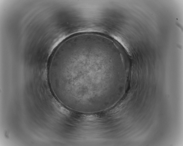 X0000091291460200708171334