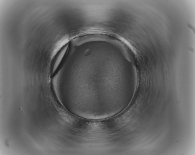 X0000091291461200708171334