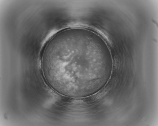 X0000091291462200708171334