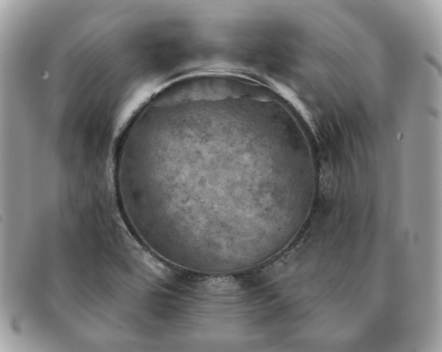 X0000091291464200708171334