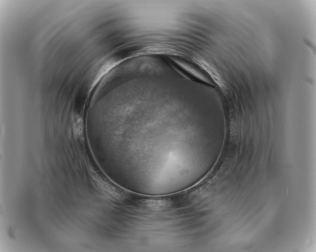 X0000091291465200708171334