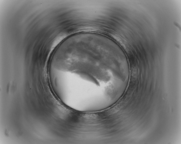 X0000091291466200708171334