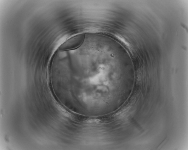 X0000091291467200708171334