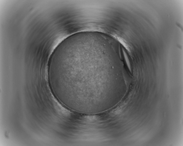 X0000091291468200708171334