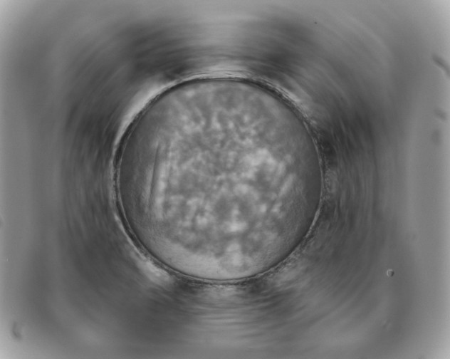 X0000091291470200708171334