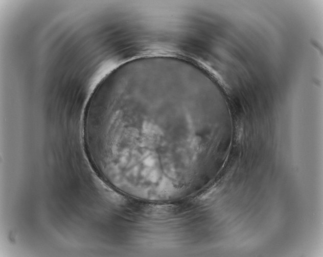 X0000091291471200708171334