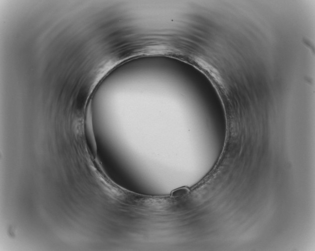 X0000091291473200708171334