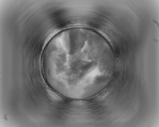 X0000091291474200708171334