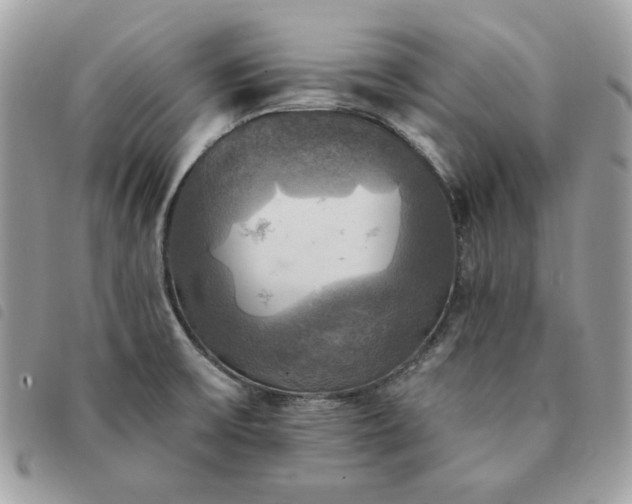 X0000091291475200708171334