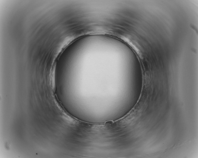 X0000091291477200708171334