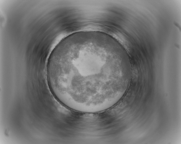 X0000091291478200708171334