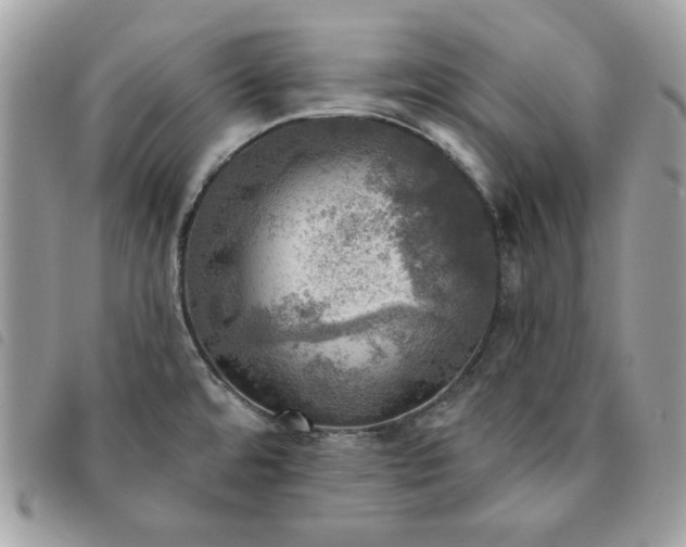 X0000091291480200708171334