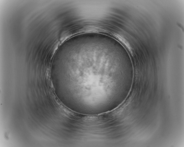 X0000091291481200708171334