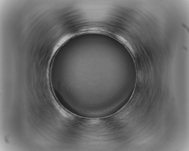 X0000091291482200708171334