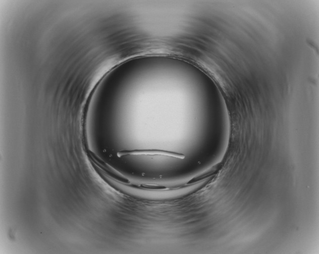 X0000091291483200708171334