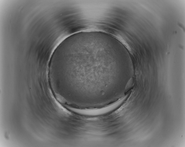 X0000091291484200708171334