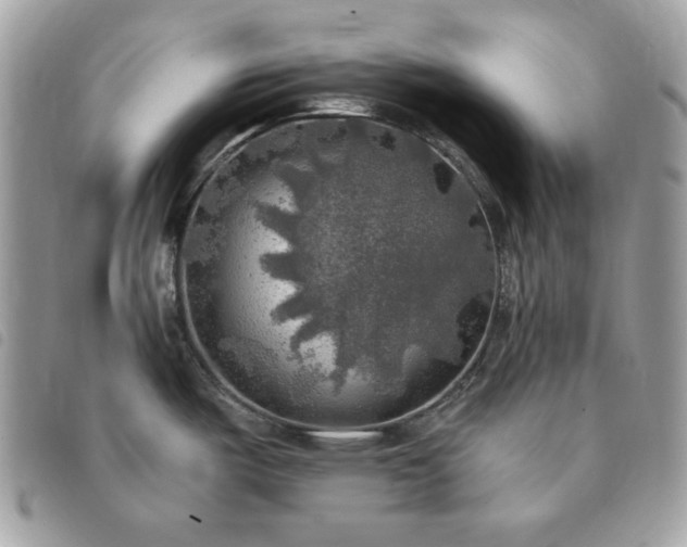 X0000091291487200708171334