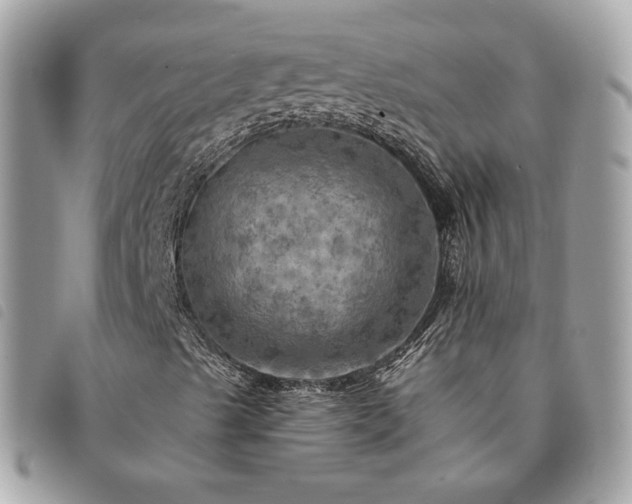 X0000091291489200708171333