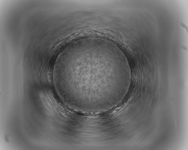 X0000091291490200708171333