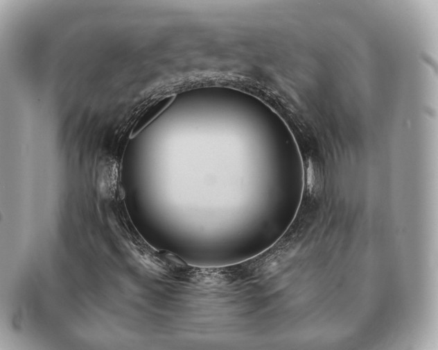 X0000091291492200708171333