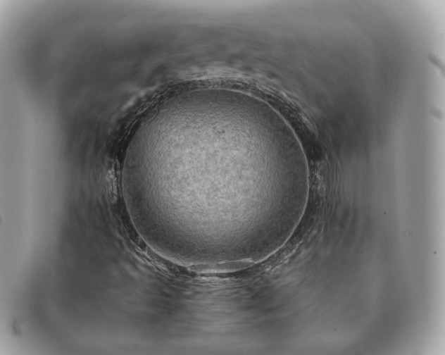 X0000091291493200708171333