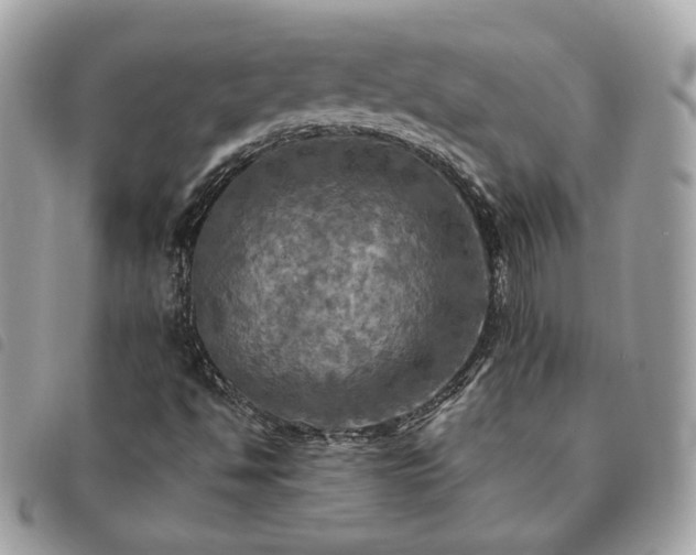 X0000091291494200708171333