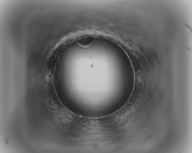 X0000091291495200708171333