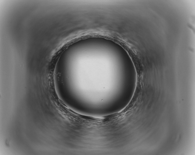 X0000091291496200708171333