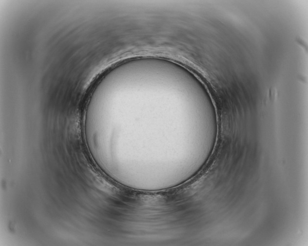 X0000091291498200708171333