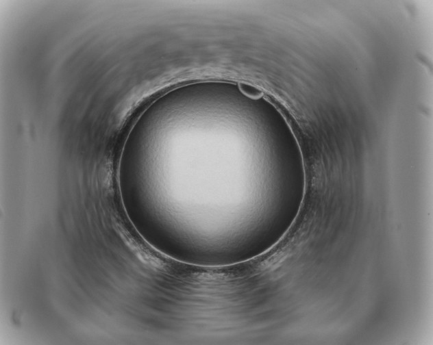 X0000091291499200708171333