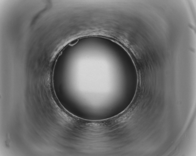 X0000091291500200708171333