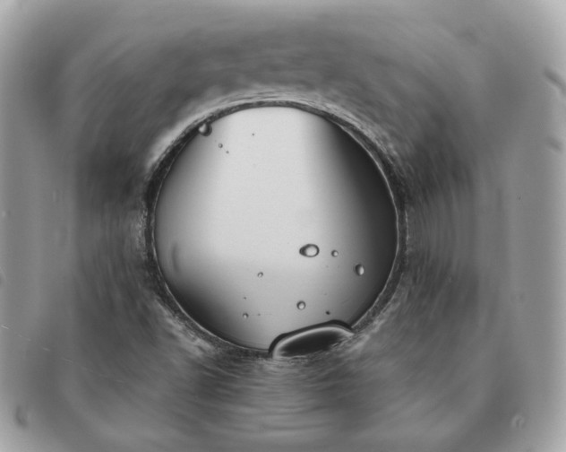 X0000091291502200708171333