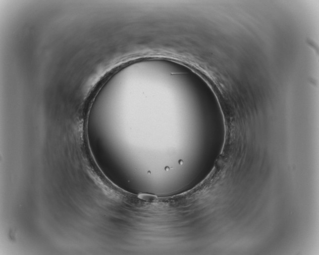 X0000091291503200708171333