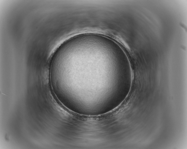 X0000091291504200708171333