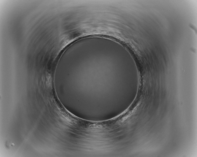 X0000091291505200708171333