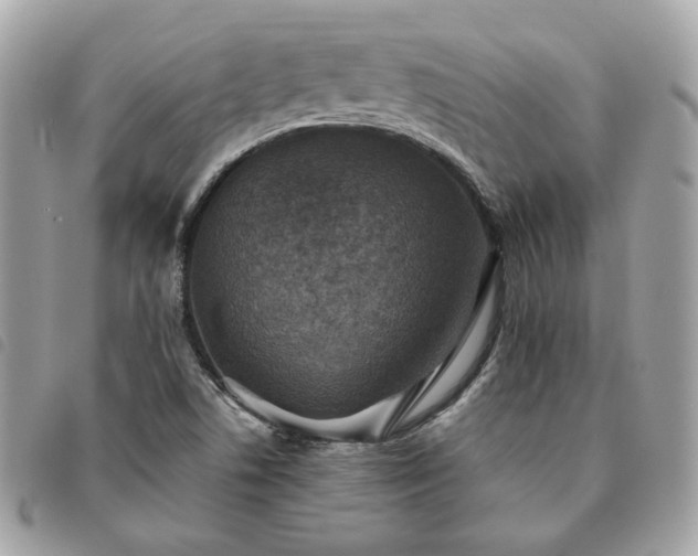 X0000091291506200708171333