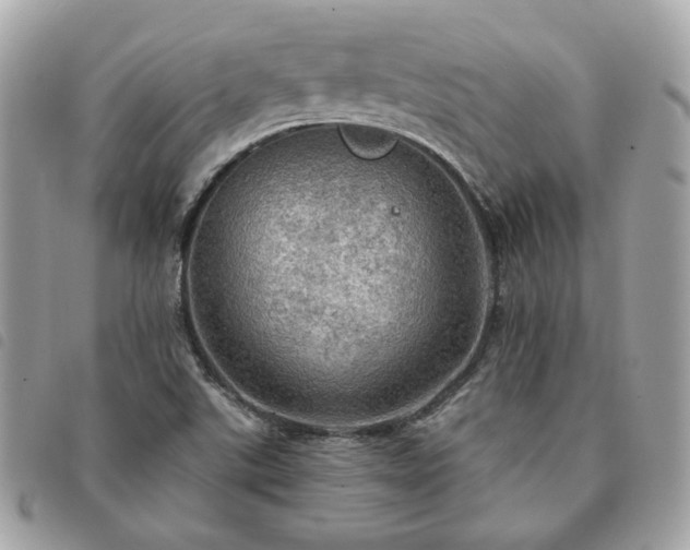 X0000091291507200708171333