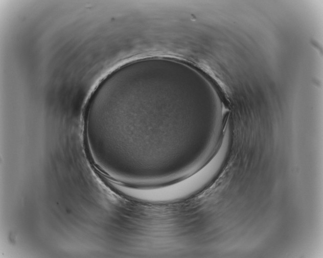 X0000091291508200708171333