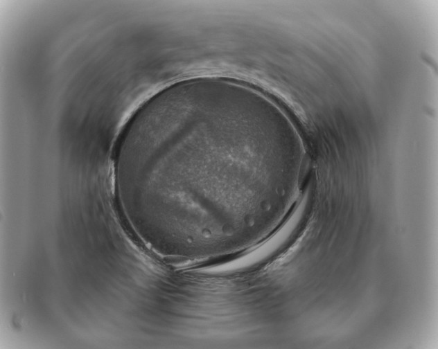 X0000091291509200708171333