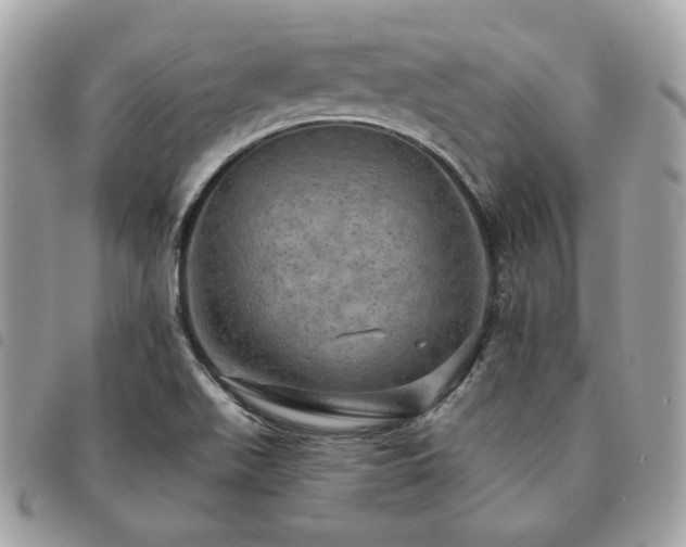 X0000091291511200708171333