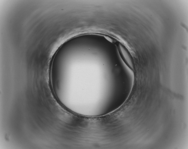 X0000091291512200708171333