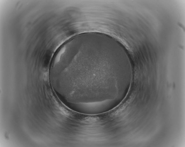 X0000091291513200708171333