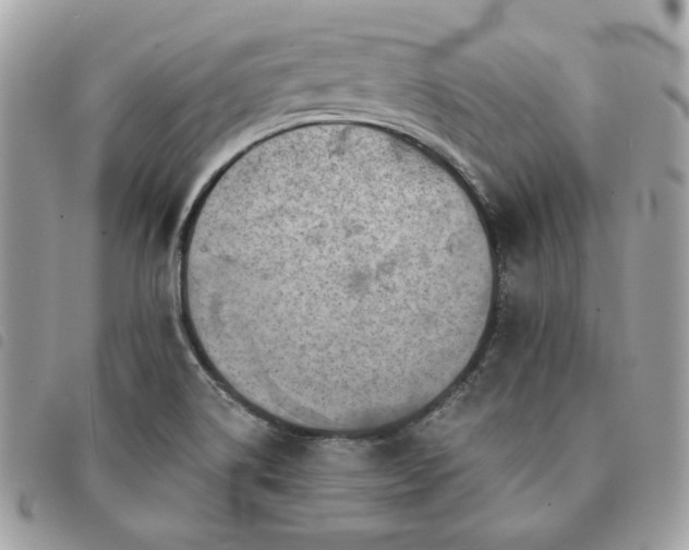 X0000091291514200708171333