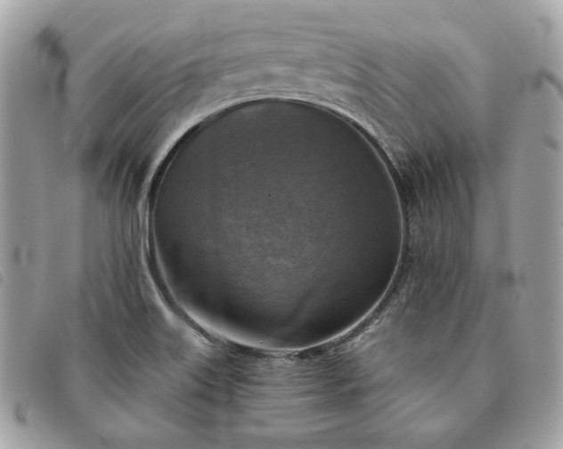 X0000091291515200708171333