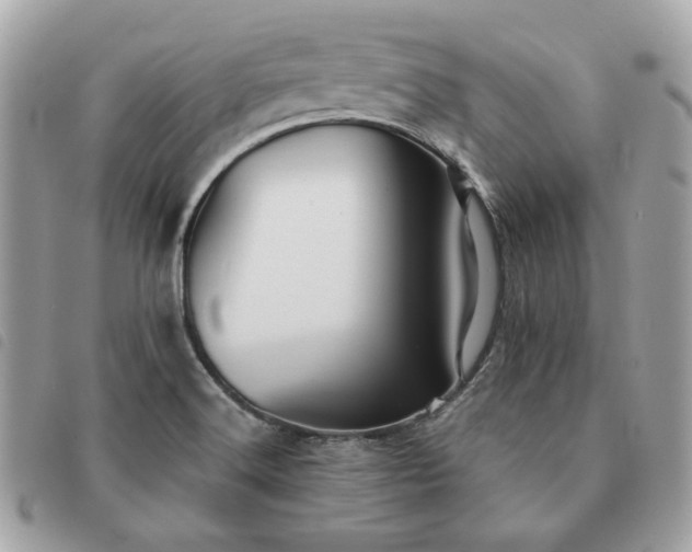 X0000091291516200708171333