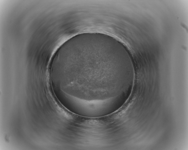 X0000091291517200708171333