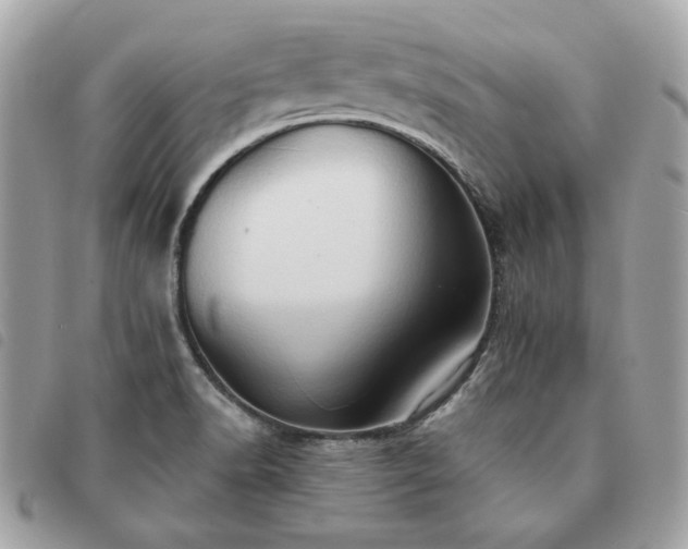 X0000091291518200708171333