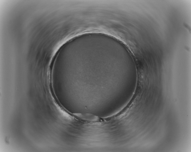 X0000091291519200708171333