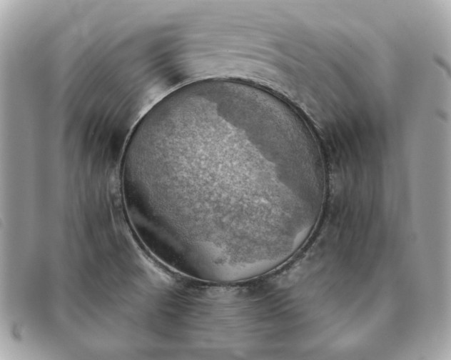 X0000091291521200708171333