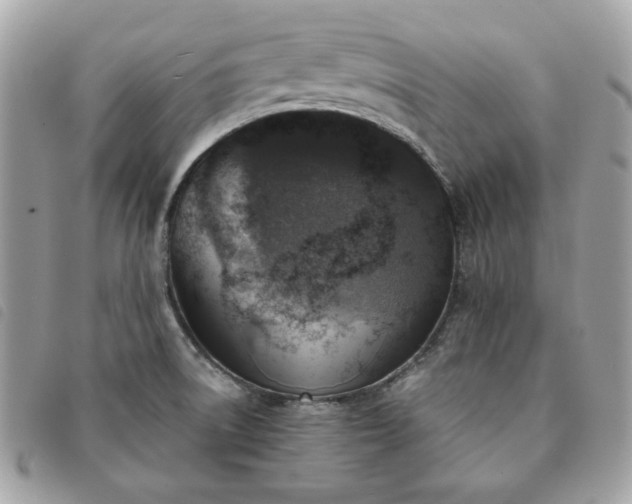 X0000091291522200708171333